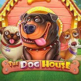 Roulette en direct avec croupier au casino Betify